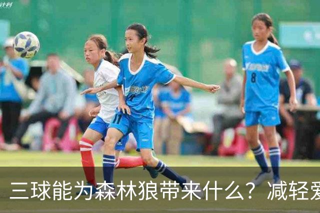 三球能为森林狼带来什么？减轻爱德华兹单打负担 麦丹能惩罚对手