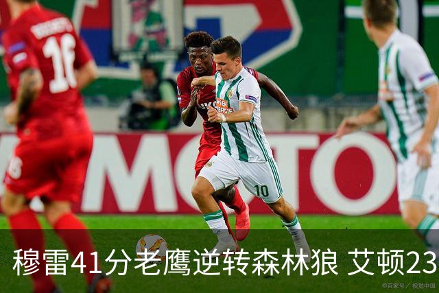 穆雷41分老鹰逆转森林狼 艾顿23板开拓者首胜