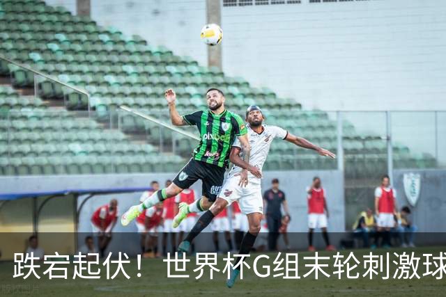 跌宕起伏！世界杯G组末轮刺激球迷心脏 伊朗狂喜过后遭打击