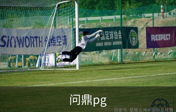 了解问鼎pg